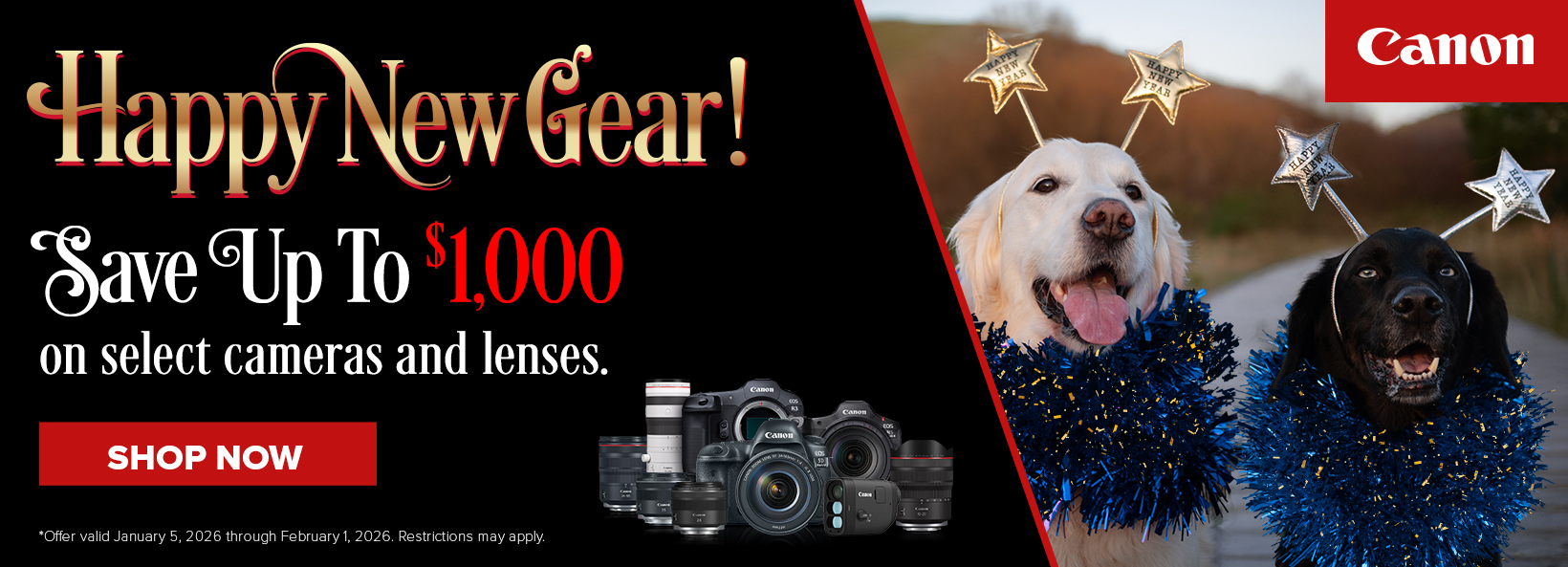 Canon Early 2026 sales